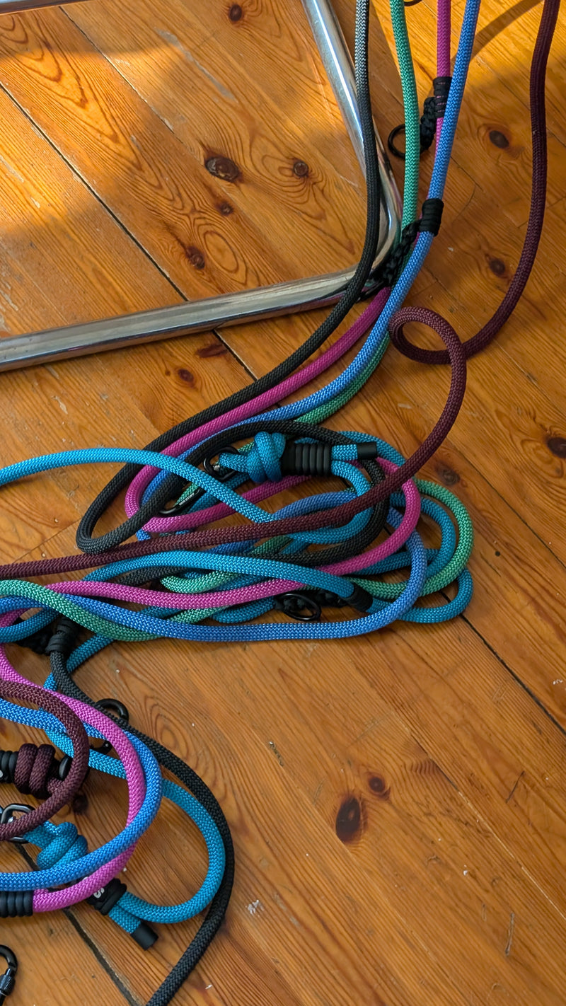 Correas de perro recicladas RPET