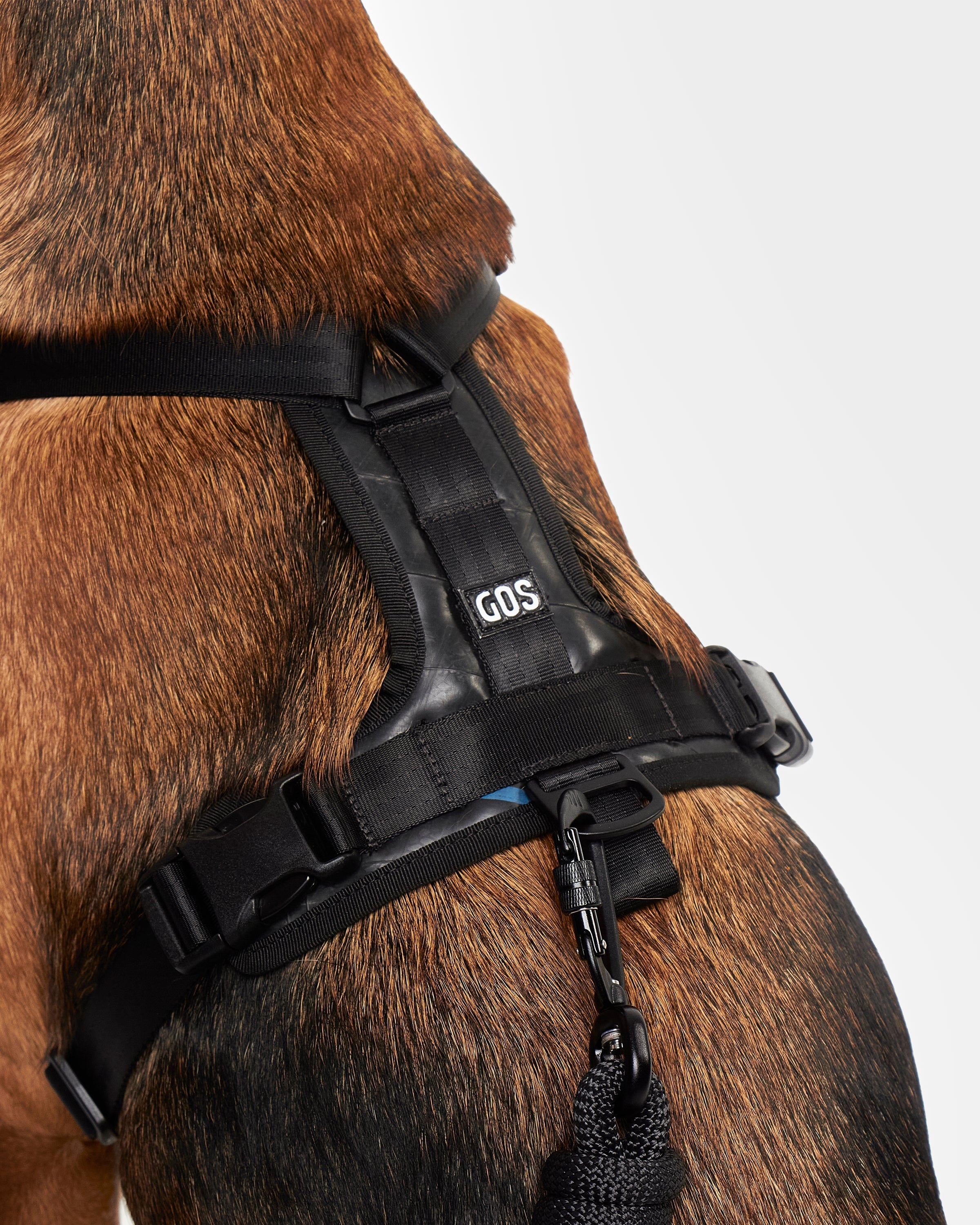 Obbe arnés neumático