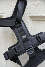 Arnés_perro_neumatico