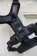 Arnés_perro_neumatico