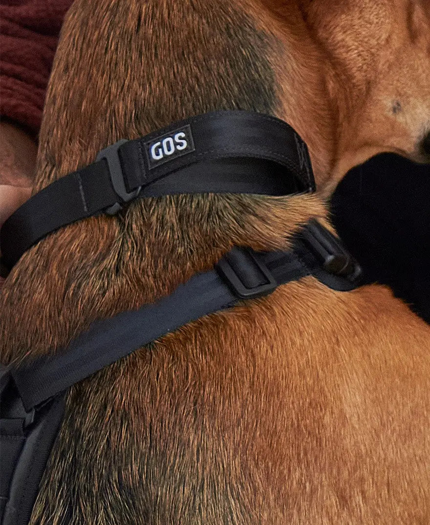 Agarre GOS Picker GOS STUFF