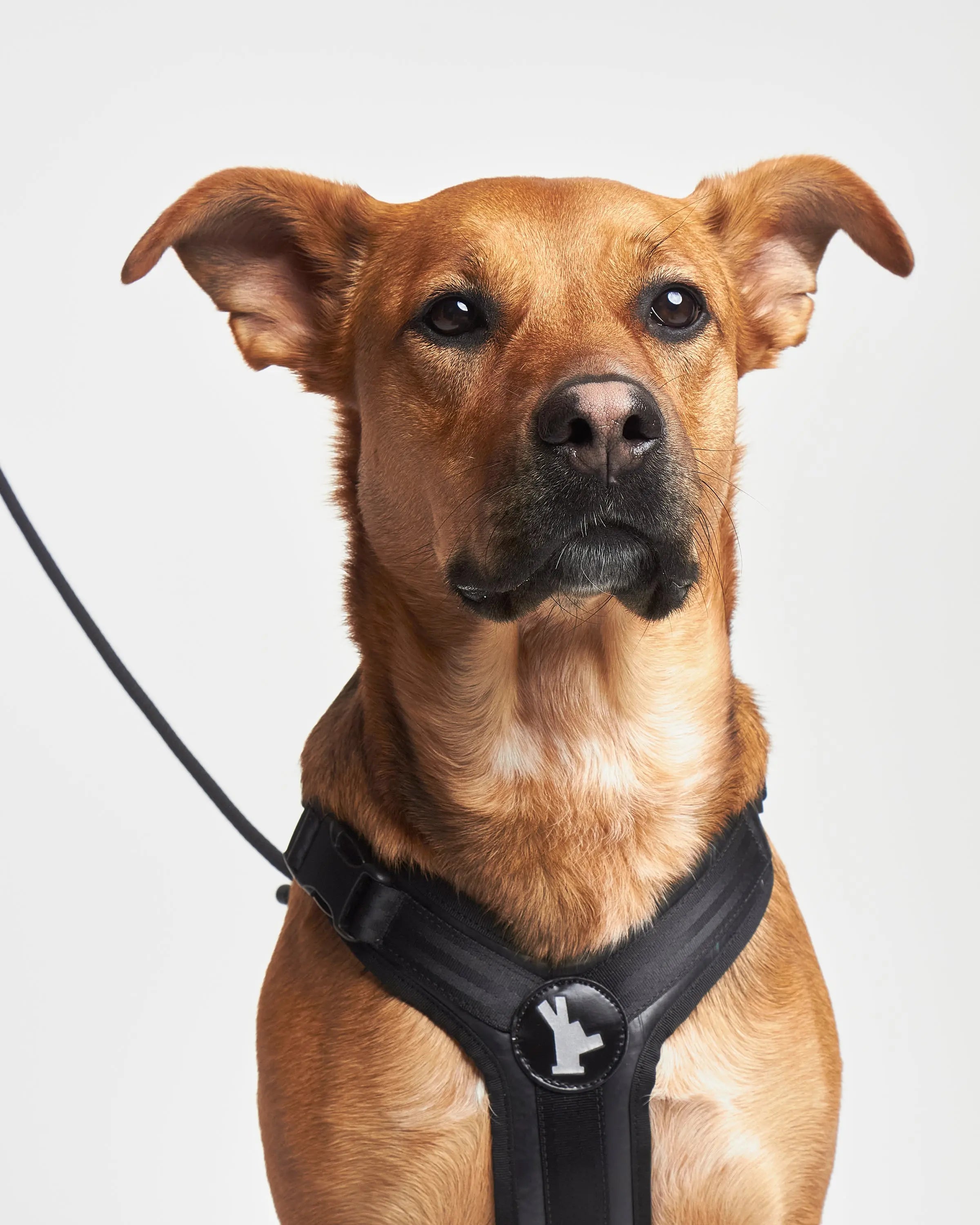 Arnés reciclado SECOND / SH-S-001 GOS STUFF