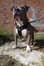 Arnés reciclado SECOND / SH-S-001 GOS STUFF