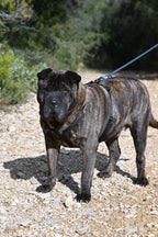 Arnés reciclado SECOND / SH-S-001 GOS STUFF