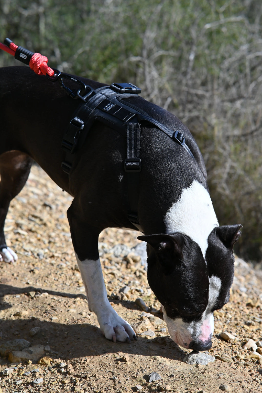 Arnés reciclado SECOND / SH-S-001 GOS STUFF