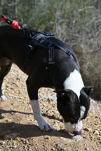 Arnés reciclado SECOND / SH-S-001 GOS STUFF