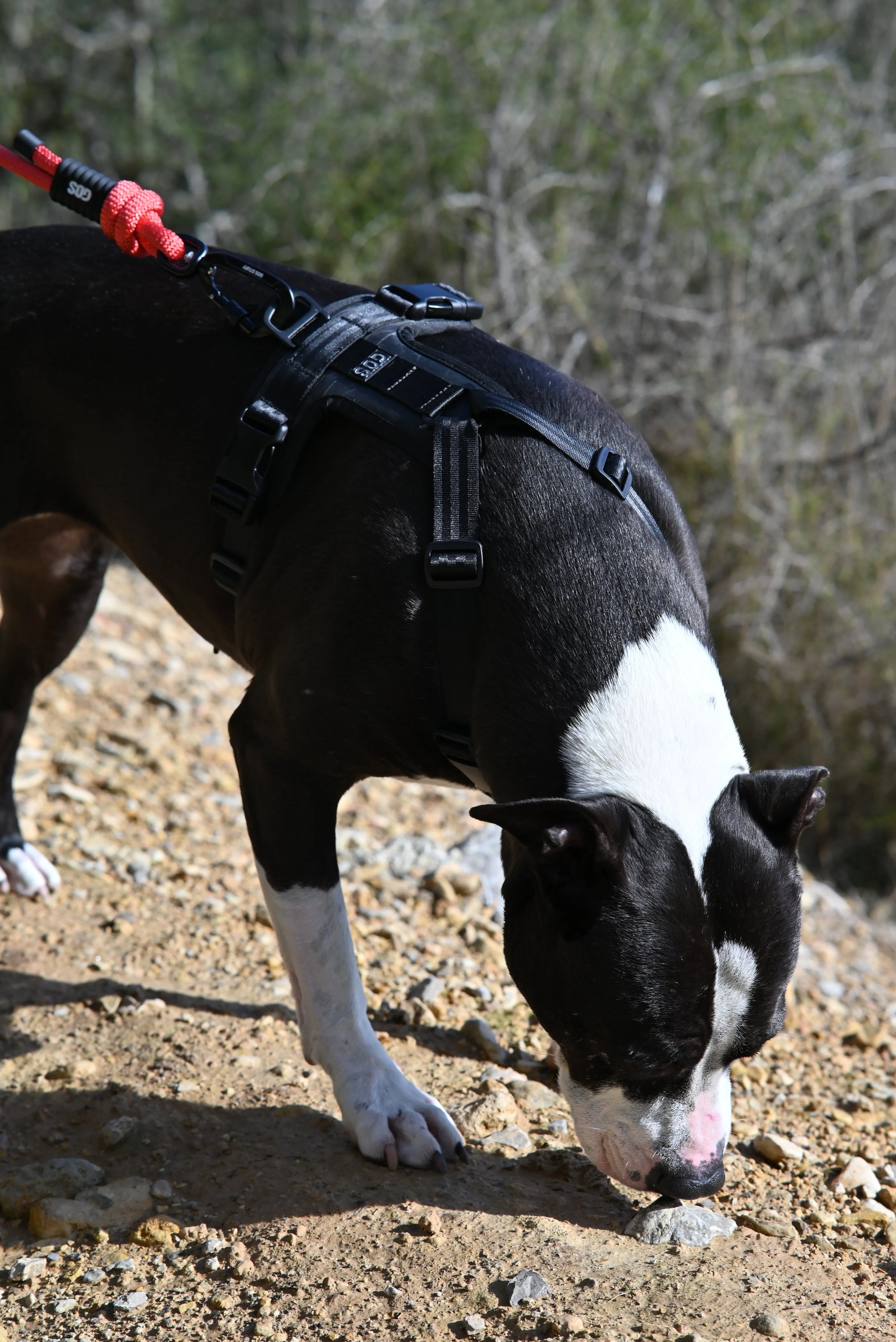 Arnés reciclado SECOND / SH-S-001 GOS STUFF