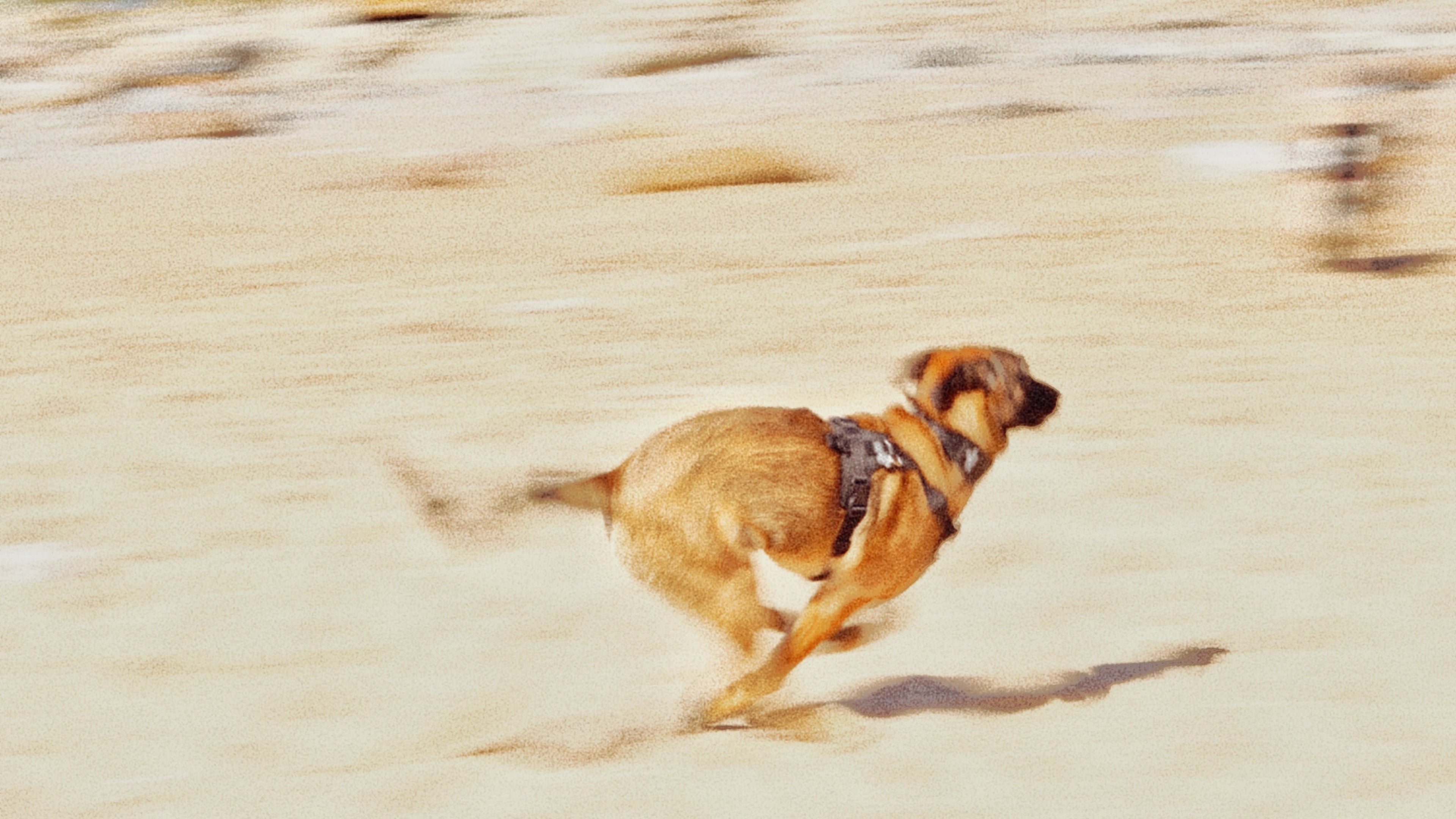 Atlas running