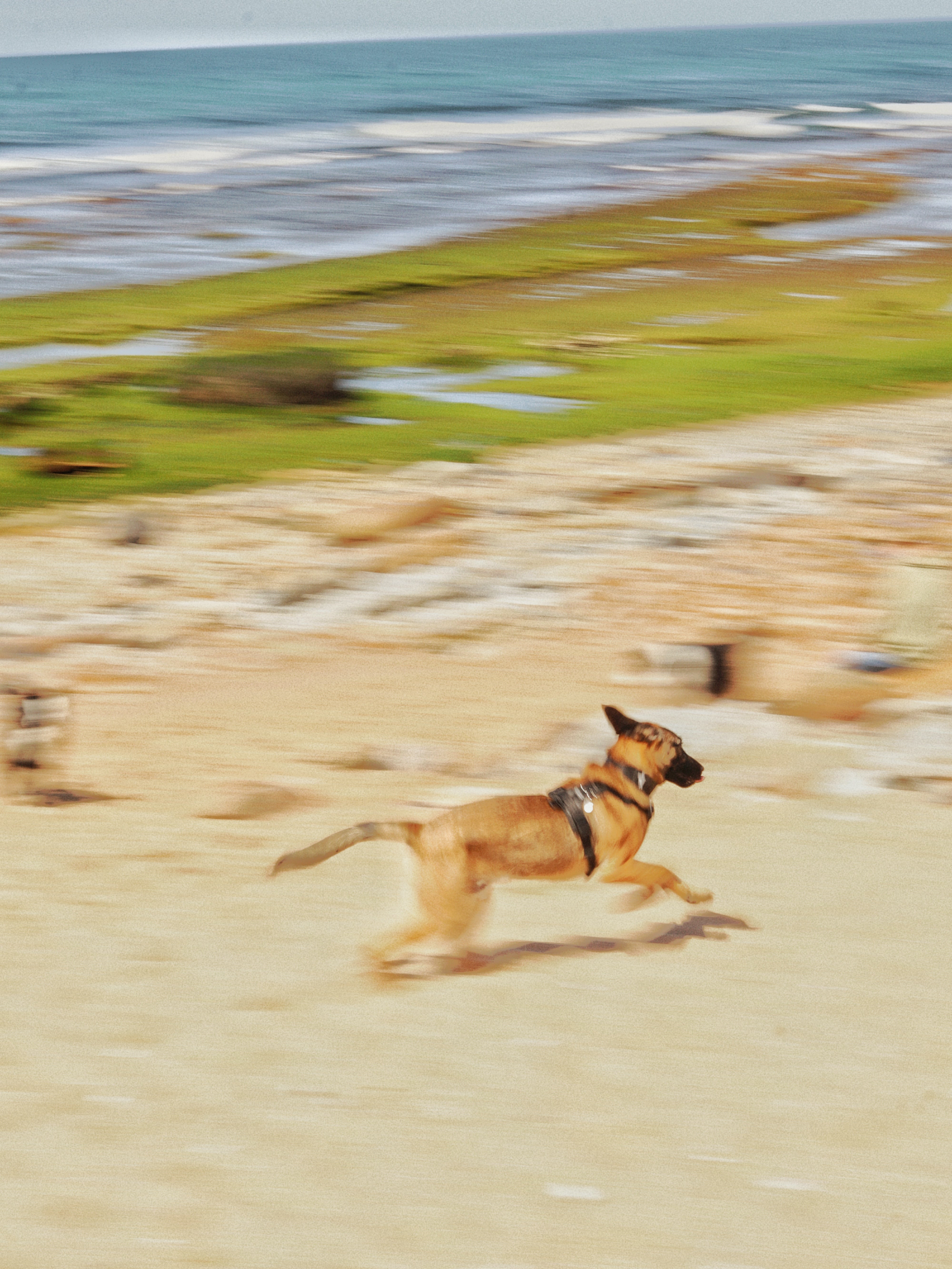 Atlas running