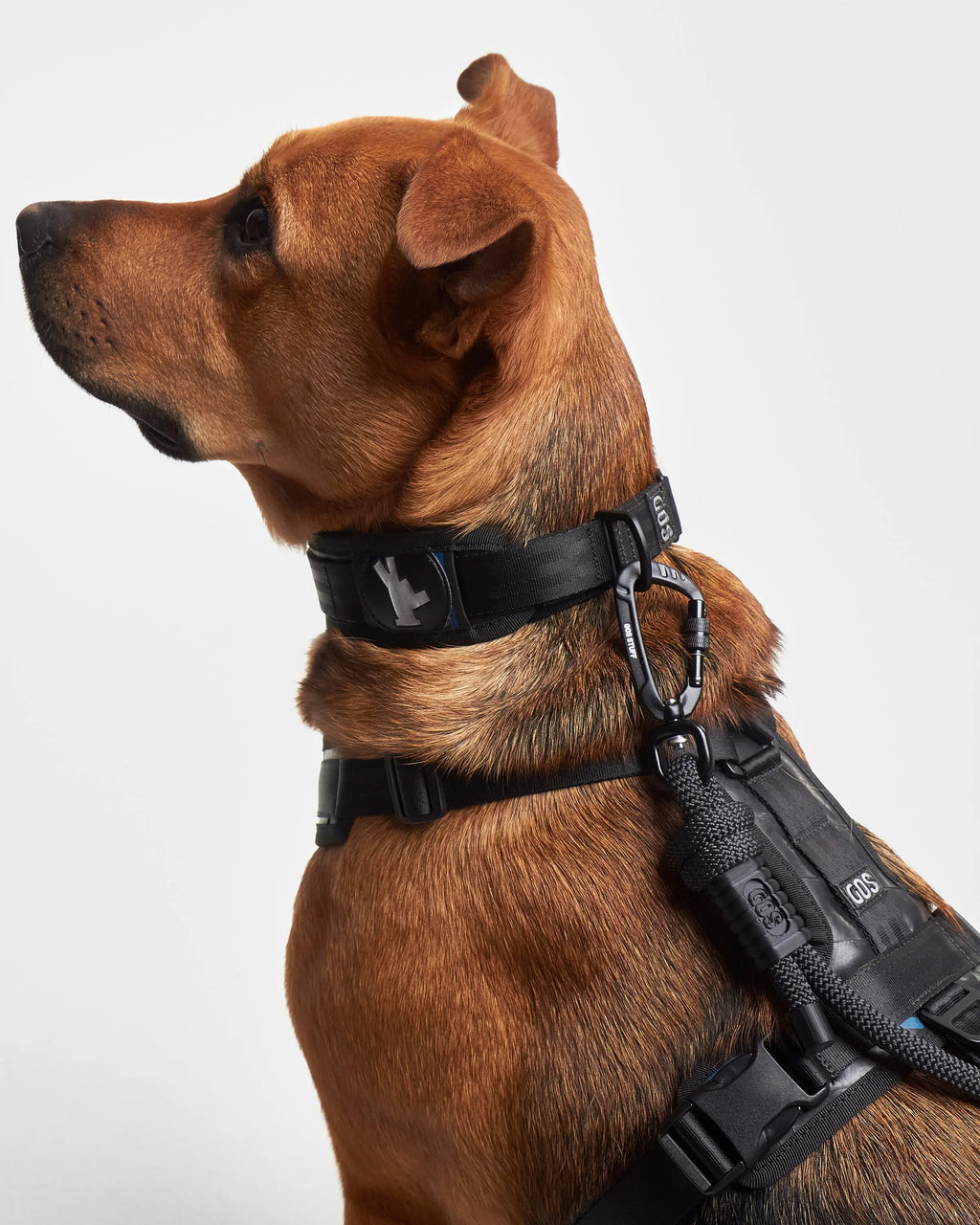 Collar reciclado SECOND 2 en 1 / SC-S-001 GOS STUFF