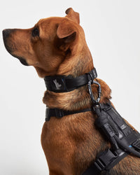 Collar reciclado SECOND 2 en 1 / SC-S-001 GOS STUFF