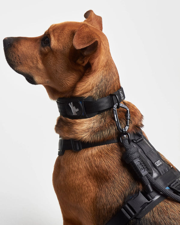 Collar reciclado SECOND 2 en 1 / SC-S-001 GOS STUFF