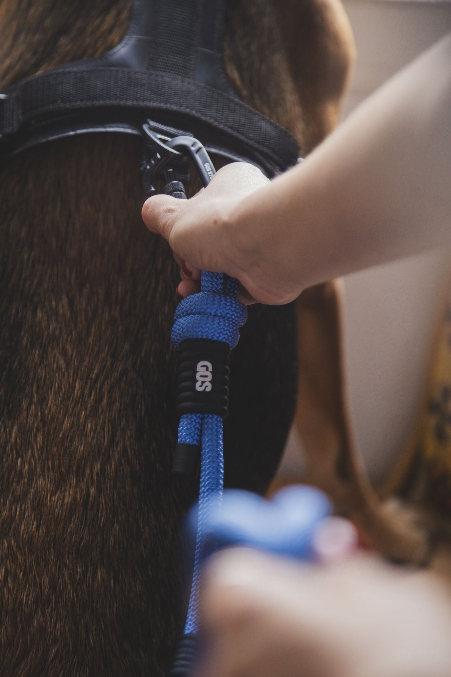 Correa-perro-reciclada-m-blue-1