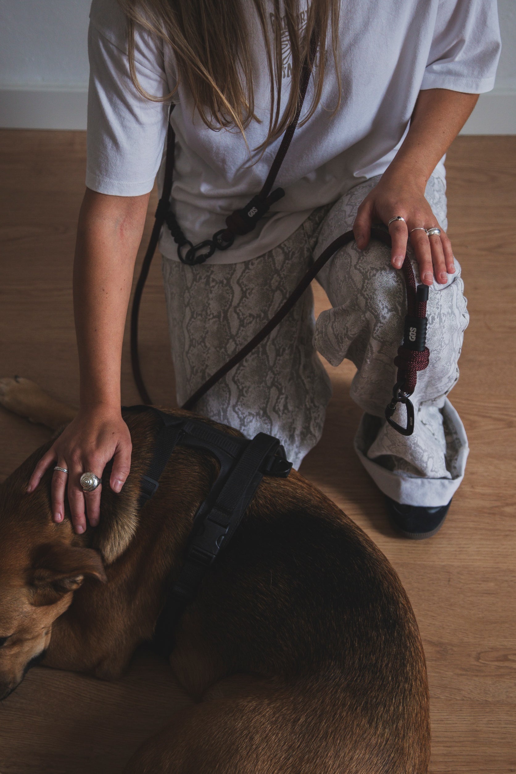 Correa-perro-reciclada-m-brown-2