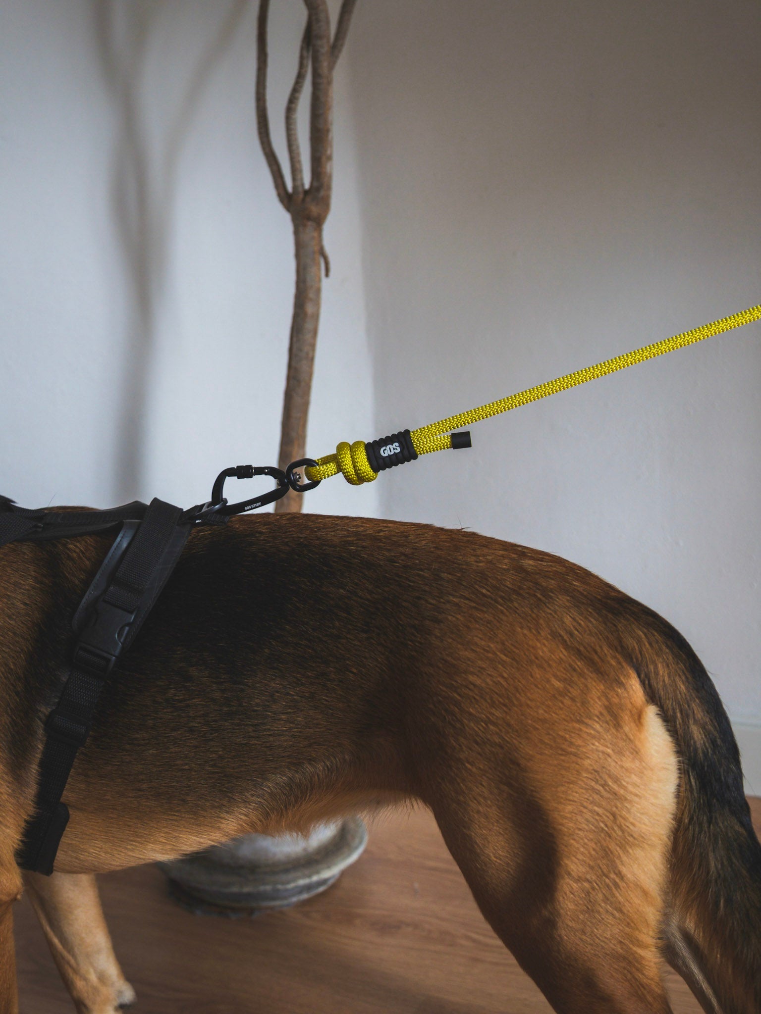 Correa-perro-reciclada-m-yellow-1