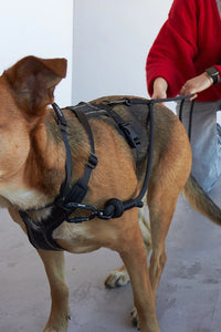 Mosquetón deslizante GOS Dual Link GOS STUFF