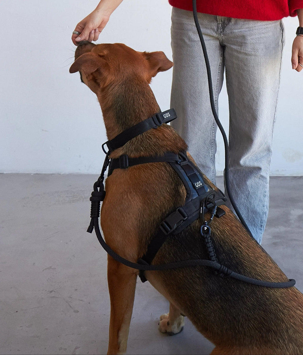 Mosquetón deslizante GOS Dual Link GOS STUFF