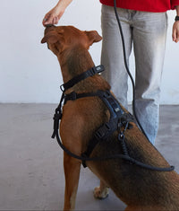 Mosquetón deslizante GOS Dual Link GOS STUFF