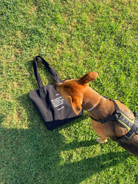 Humano de perro